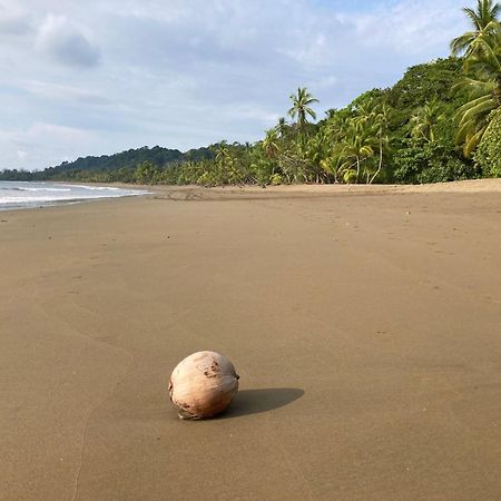 Corcovado & Drake Inn Drakes Bay المظهر الخارجي الصورة