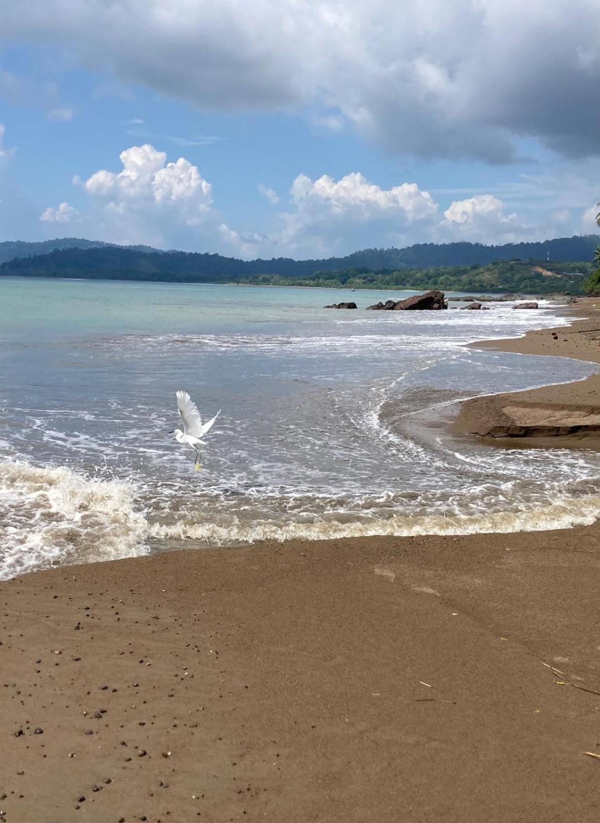 Corcovado & Drake Inn Drakes Bay المظهر الخارجي الصورة