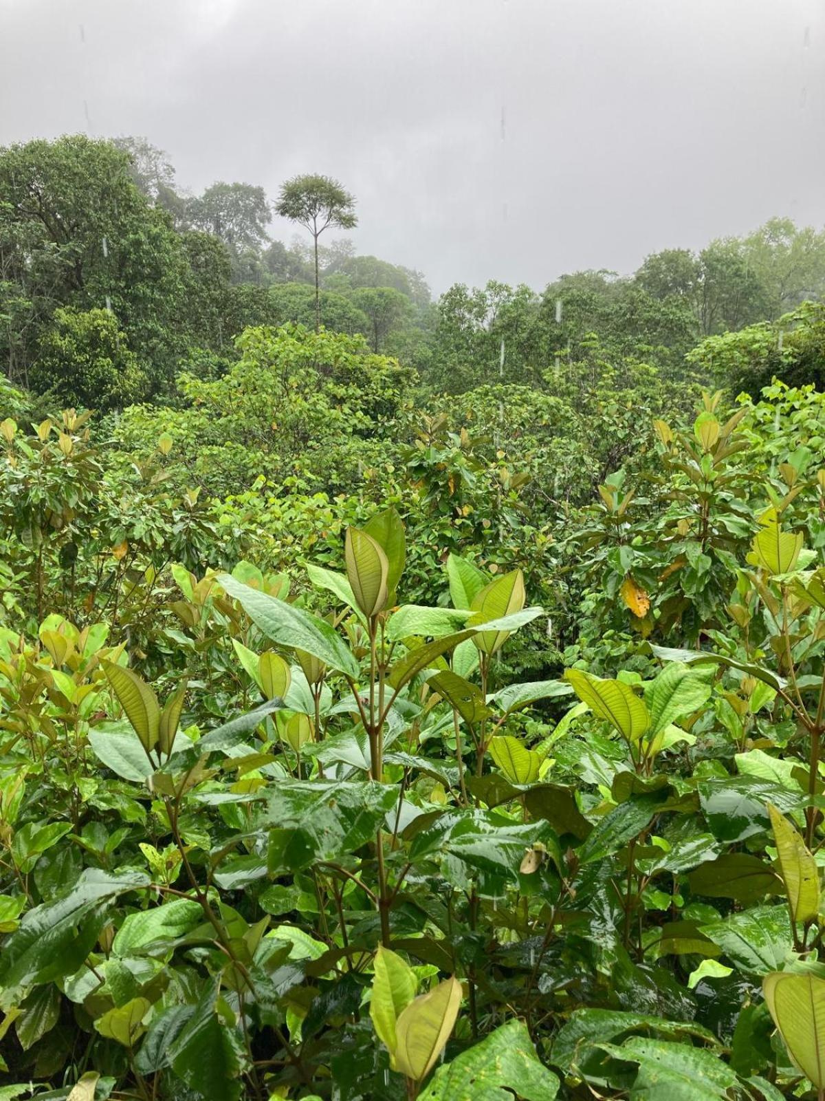 Corcovado & Drake Inn Drakes Bay المظهر الخارجي الصورة