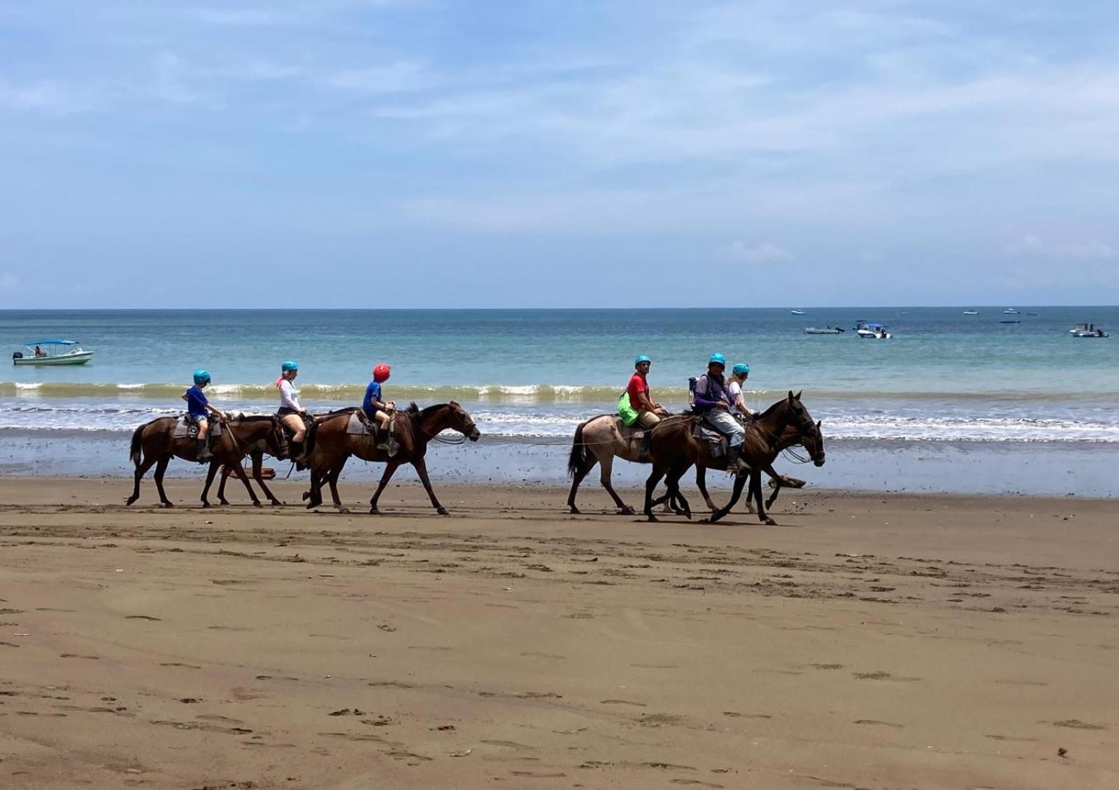 Corcovado & Drake Inn Drakes Bay المظهر الخارجي الصورة